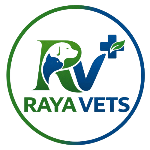 RAYAVETS